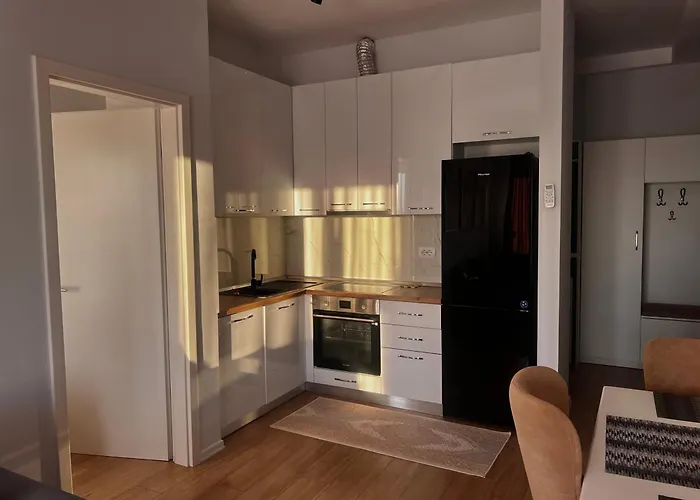 Apartament Shehu *